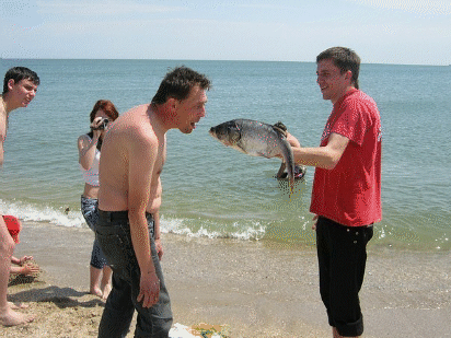 Шульц на море чистит рыбу
